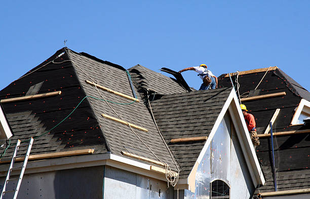 Best Metal Roofing Contractor  in New Hampton, IA