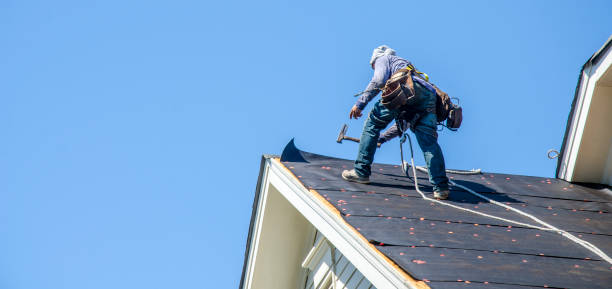 Best Storm Damage Roof Repair  in New Hampton, IA